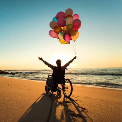 SONC-handicap SONC-handicap